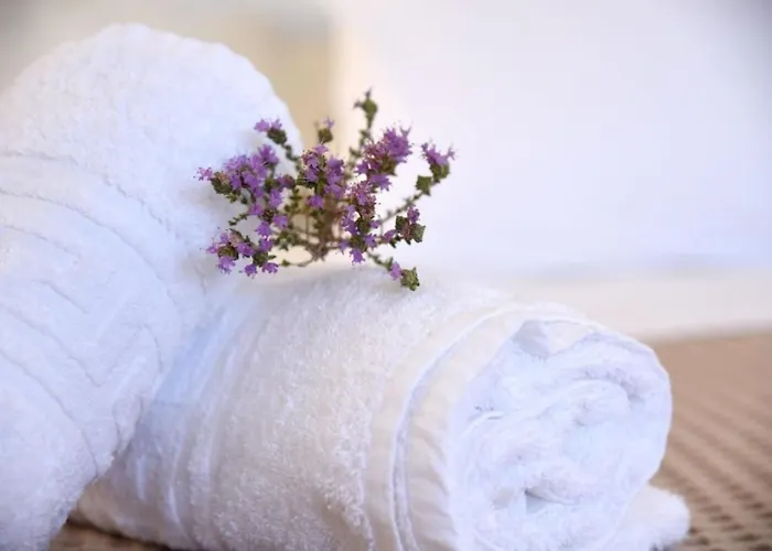 Anna Kythnos דירה *