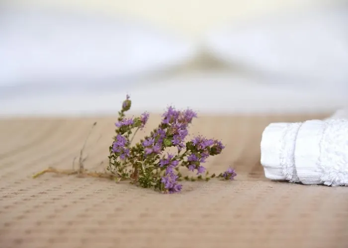 Anna Kythnos דירה Kanala